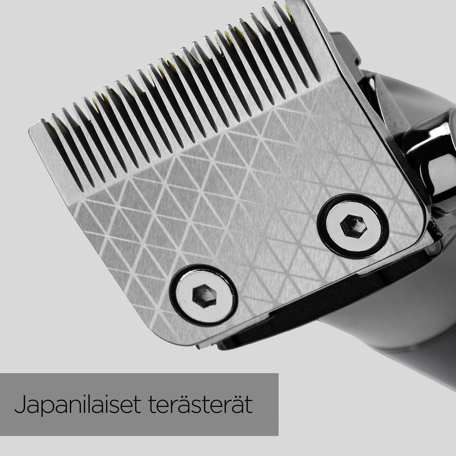 Japanilaiset ter&auml;ster&auml;t