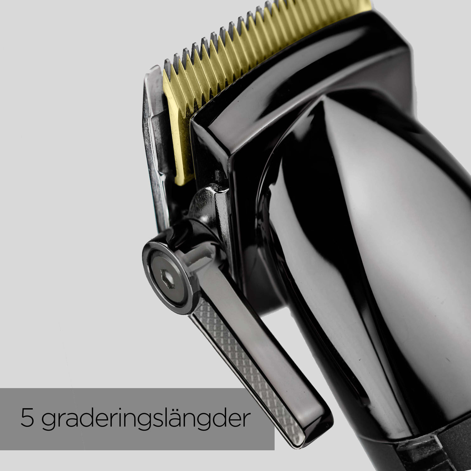 5 graderingsl&auml;ngder