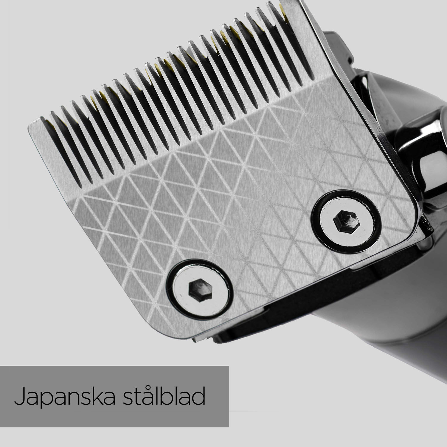 Japanska st&aring;lblad