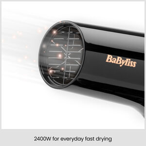 Rose Lustre 2400W Hair Dryer